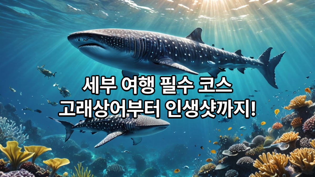 10bfe-678f890d3621e-e059f11ee20f927e5127bdce9bcd785520f3bc8d.png