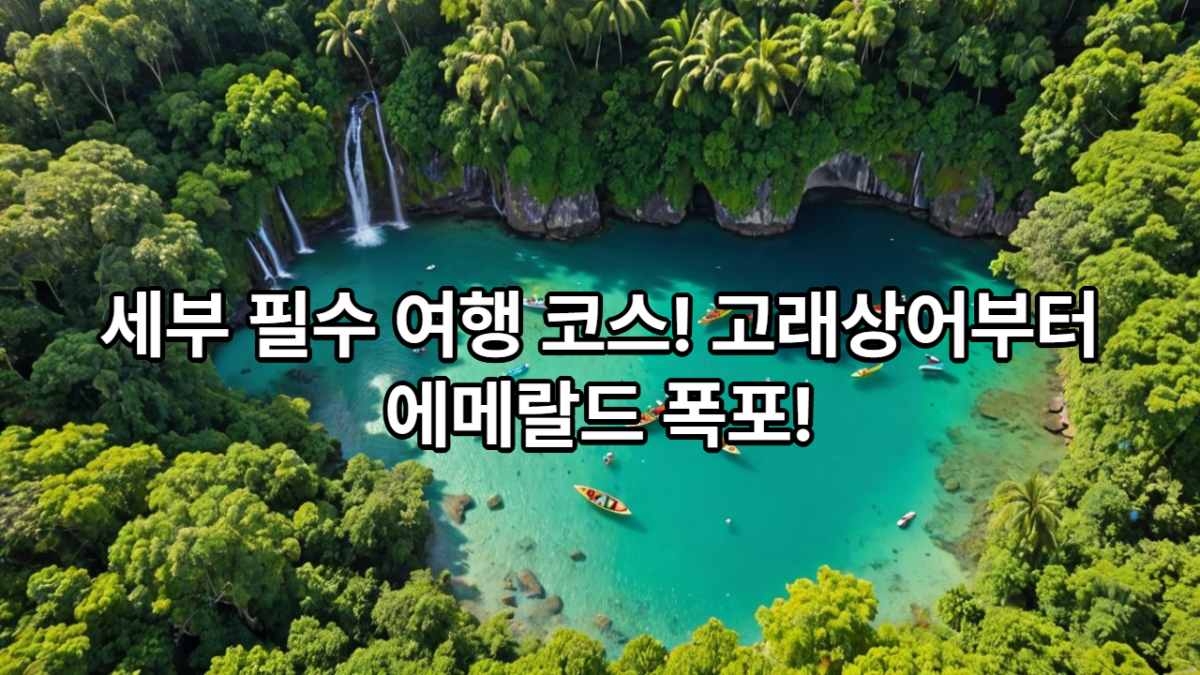 10bfe-67b460dff2ed9-2e65b00f77eab308d4e470914a42bf53d3726cb3.png